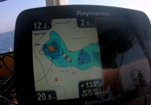 Deniz çayırlarını korumak için harekete geçtiler