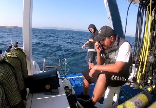 Deniz çayırlarını korumak için harekete geçtiler