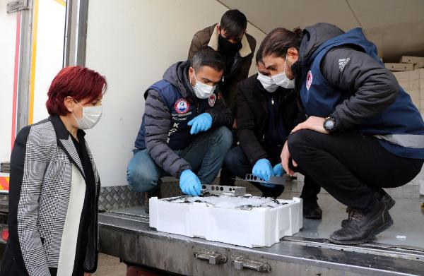 Van'da 'balon balığı' denetimi