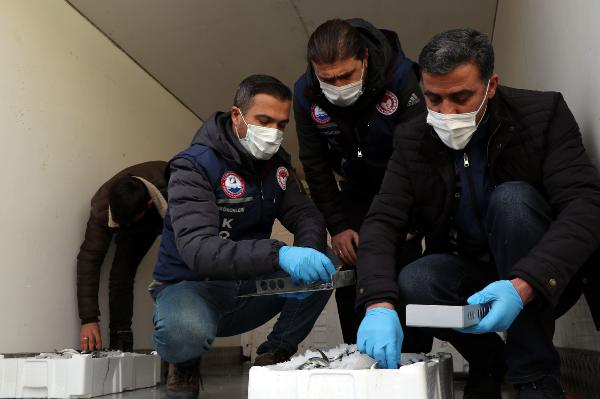 Van'da 'balon balığı' denetimi