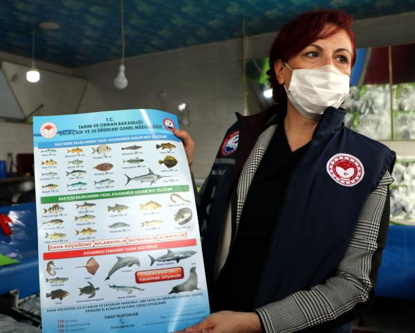 Van'da 'balon balığı' denetimi