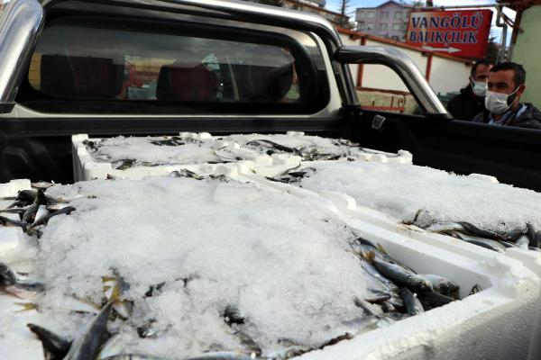 Van'da 'balon balığı' denetimi