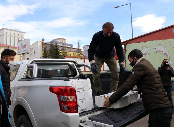 Van'da 'balon balığı' denetimi