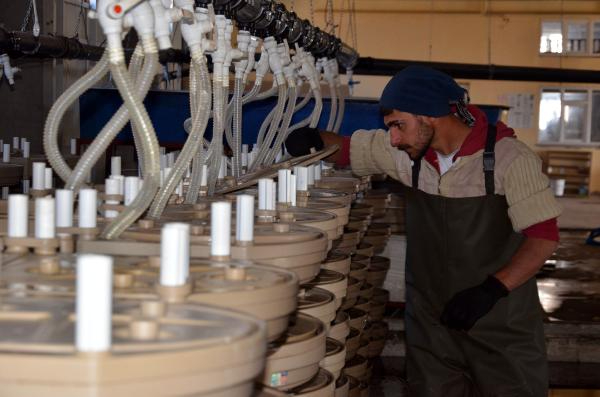 Muş'tan Japonya'ya da somon ihracı