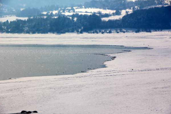 Bolu'da Gölköy Barajı'ndan Doğa Manzaraları