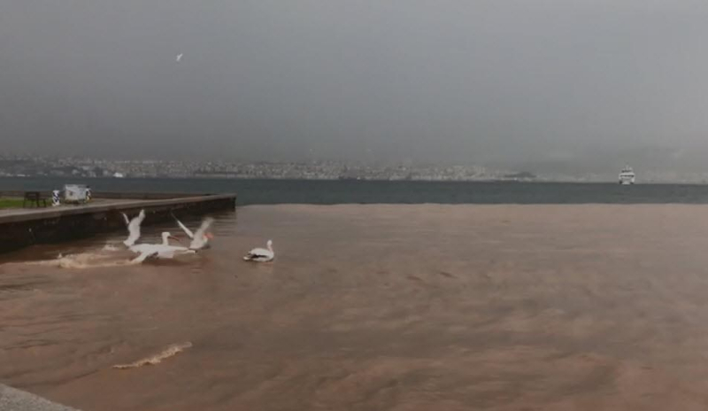 İzmir'i sağanak vurdu