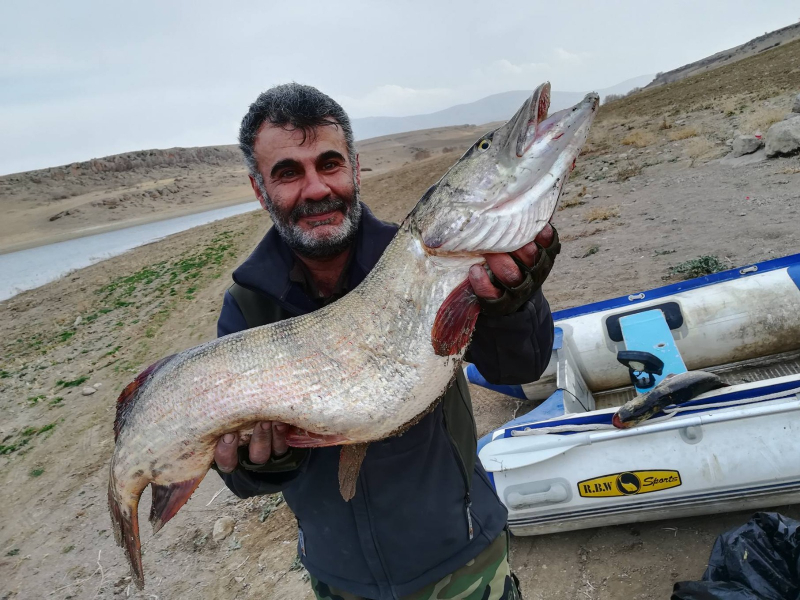 KOBDER 3.Ulusal Turna Balığı Yakalama Yarışması başlıyor