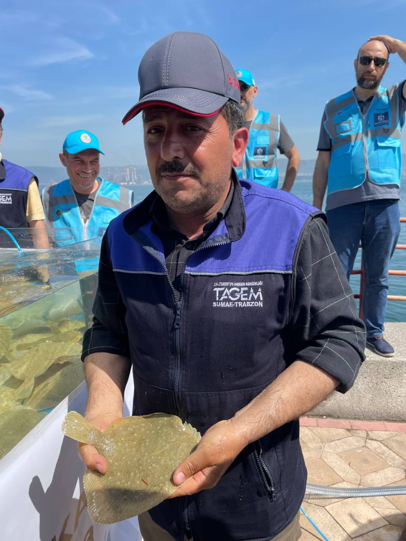 İzmit Körfezi'ne 6 bin çipura, levrek ve kalkan bırakıldı