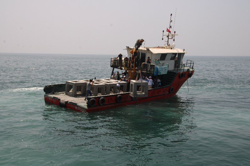 Mersin'de balık popülasyonunun gelişmesi için denize yapay resifler bırakıldı