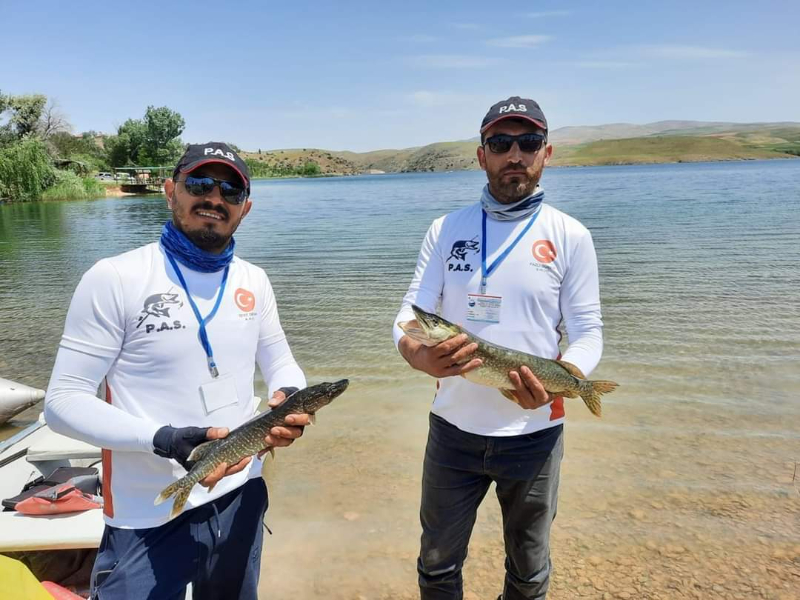 Ankara “Geleceğe Rastgele” dedi