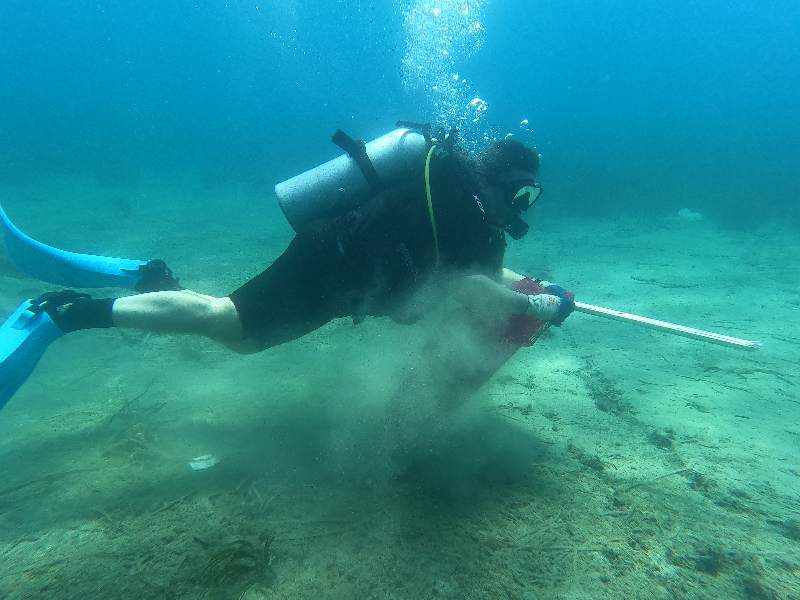 Bodrum'da dalgıçlar deniz dibi temizliği yaptı