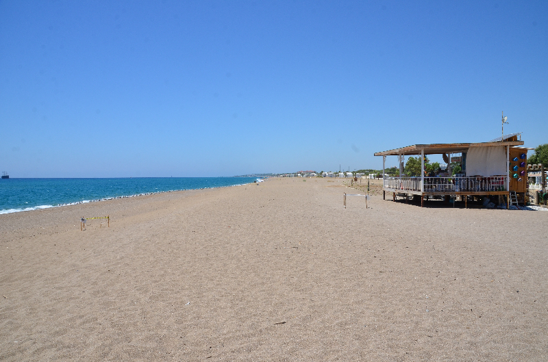 Manavgat'ta caretta caretta yavruları mavi sularla buluşmaya başladı