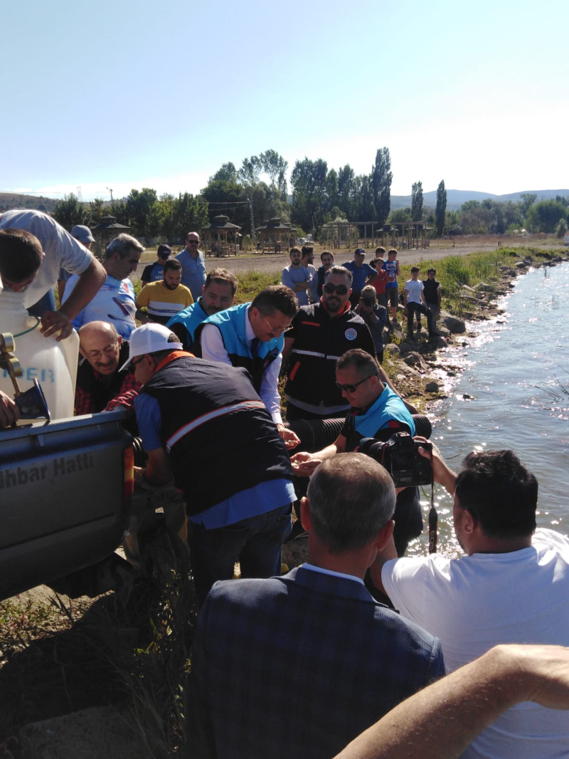 Bolu'da Yeniçağa Gölü'ne 350 bin balık yavrusu salındı