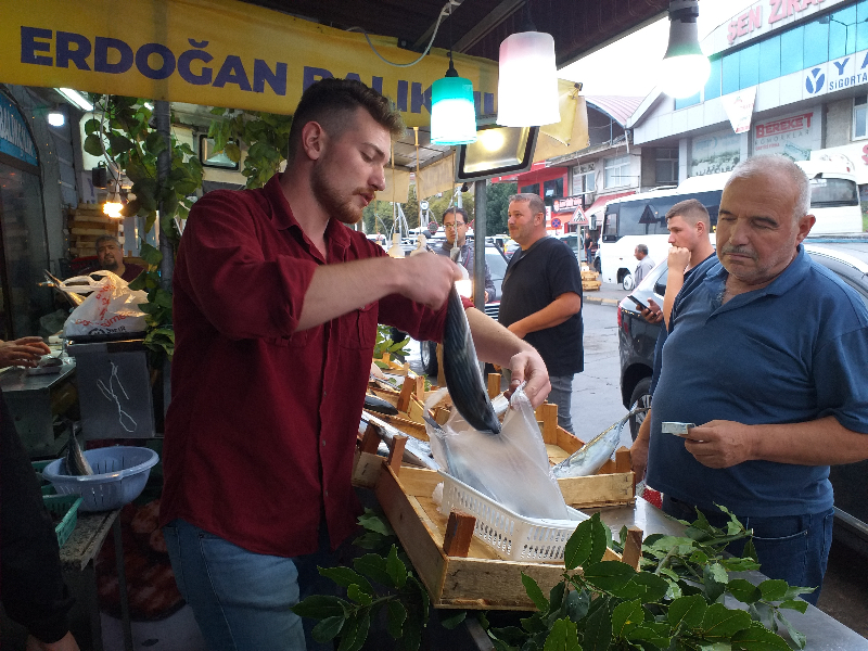 Zonguldak'ta palamut bolluğu fiyatlara yansıdı