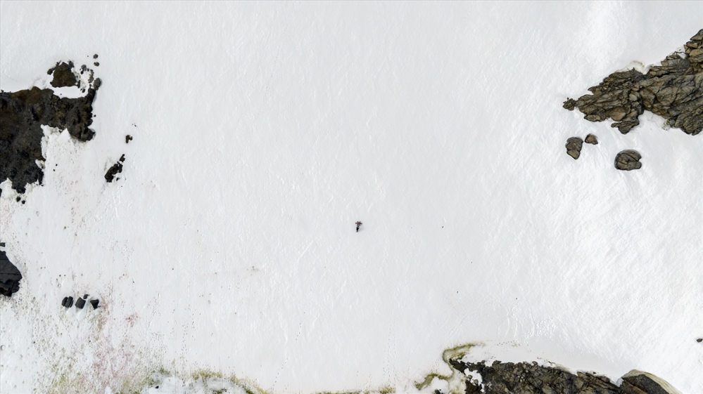 "Buzlar kıtası" Antarktika, bu yıl rekor seviyede erimeye devam ediyor