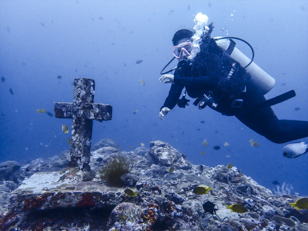 Filipinler'de ender bulunan deniz canlısı türü olan Dev İstiridye Batangas'ta görüntülendi