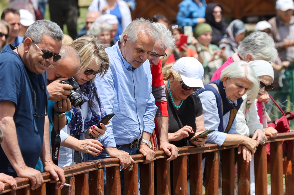 Jandarma ekipleri göç yolculuğundaki inci kefalini koruyor