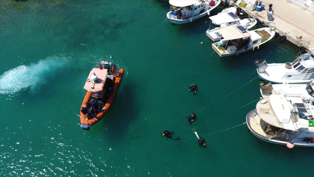 Bodrum'da deniz dibi temizliği yapıldı, 30 bin balık yavrusu denize bırakıldı
