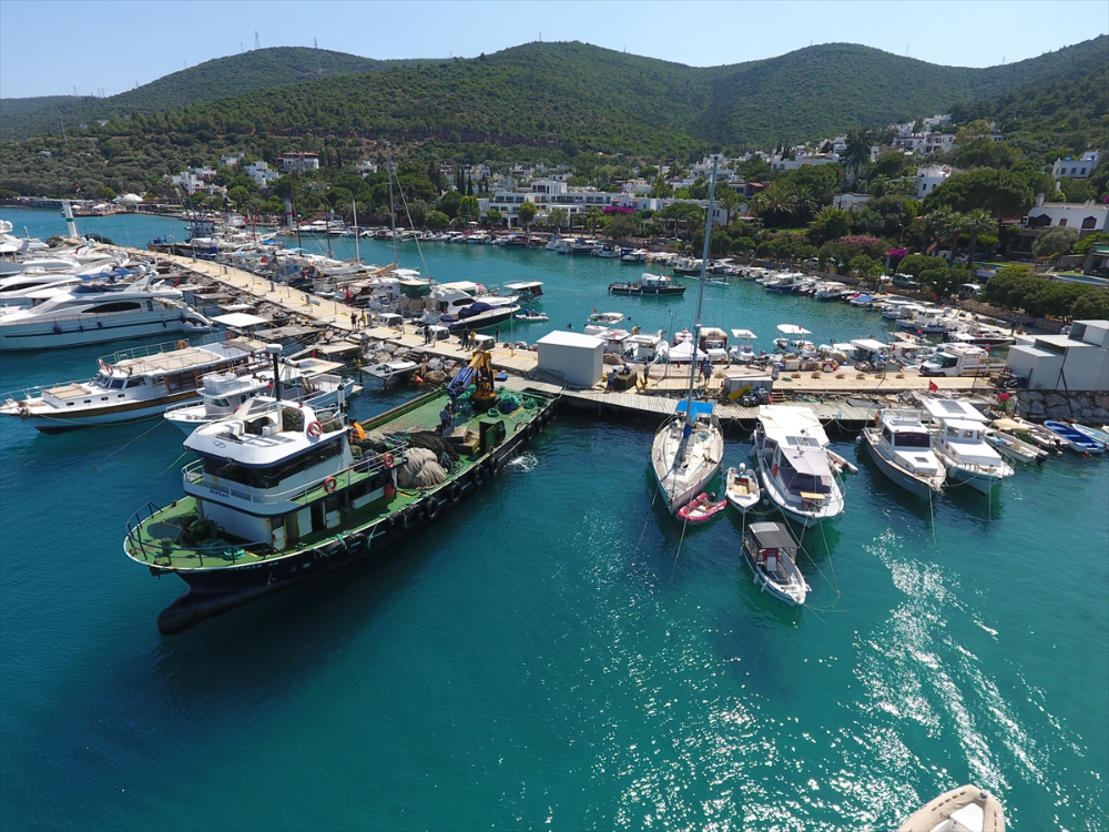 Bodrum'da deniz dibi temizliği yapıldı, 30 bin balık yavrusu denize bırakıldı