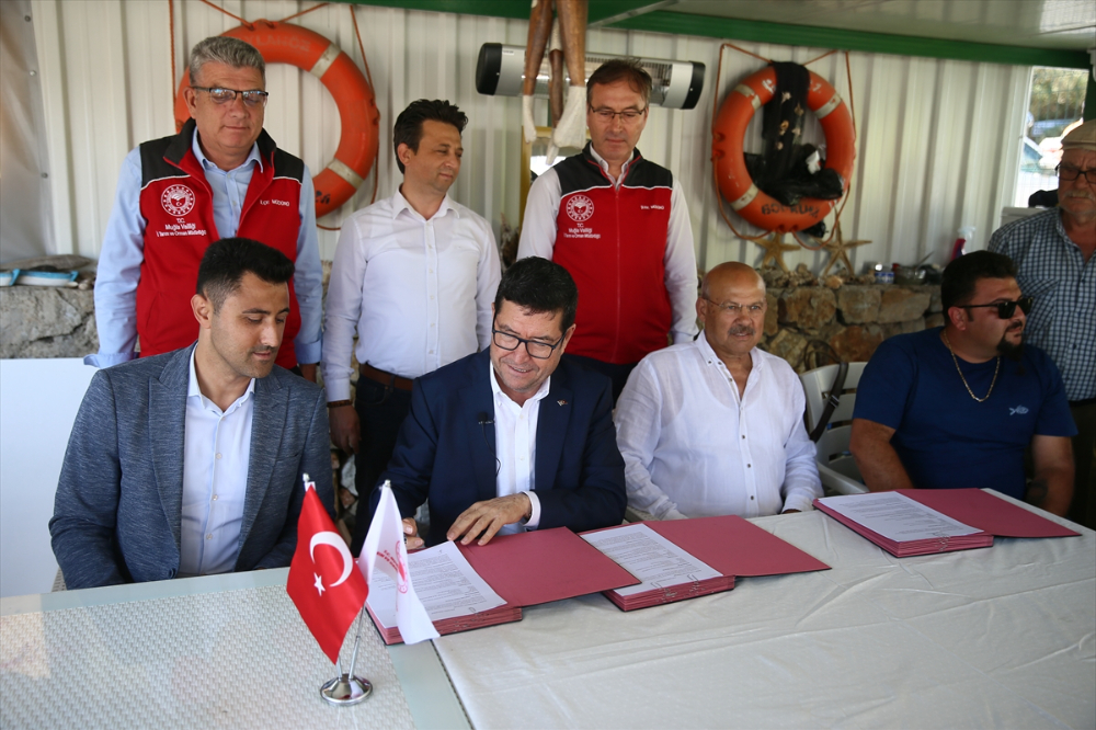 Bodrum'da deniz dibi temizliği yapıldı, 30 bin balık yavrusu denize bırakıldı