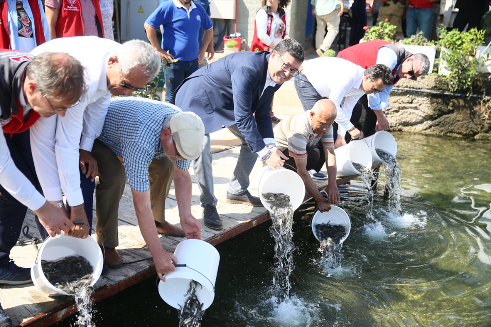 Bodrum'da deniz dibi temizliği yapıldı, 30 bin balık yavrusu denize bırakıldı