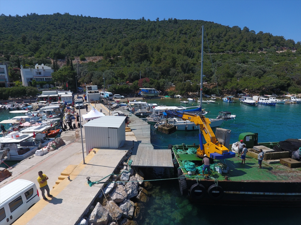 Bodrum'da deniz dibi temizliği yapıldı, 30 bin balık yavrusu denize bırakıldı