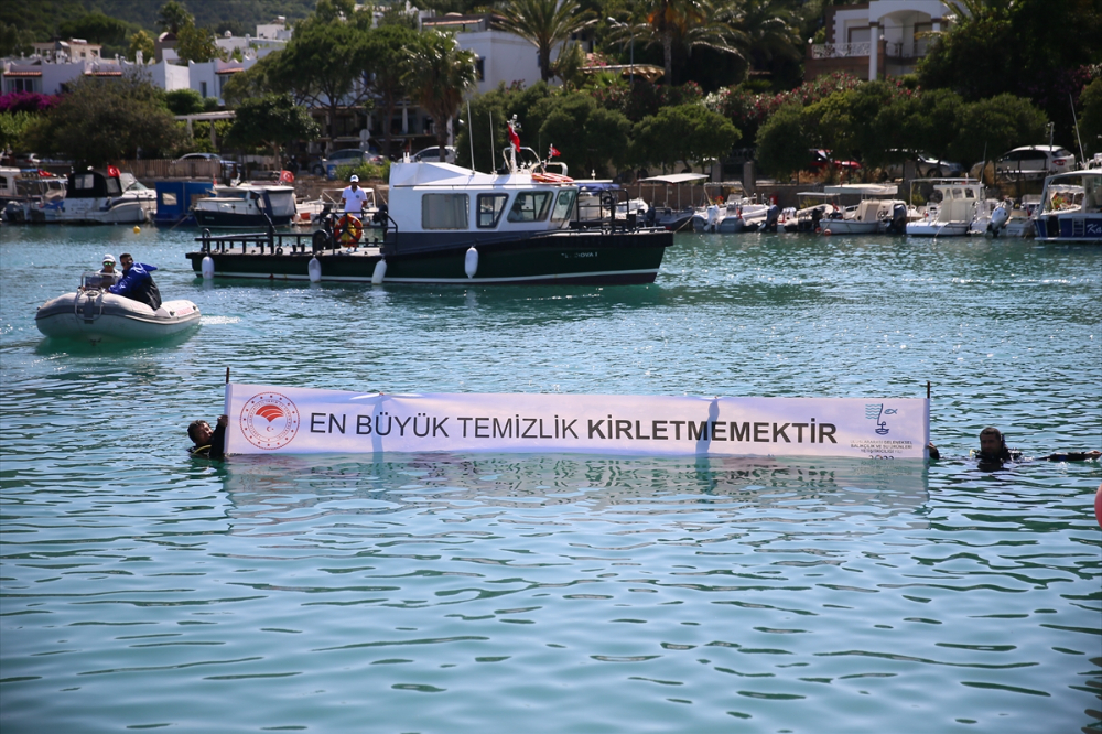 Bodrum'da deniz dibi temizliği yapıldı, 30 bin balık yavrusu denize bırakıldı