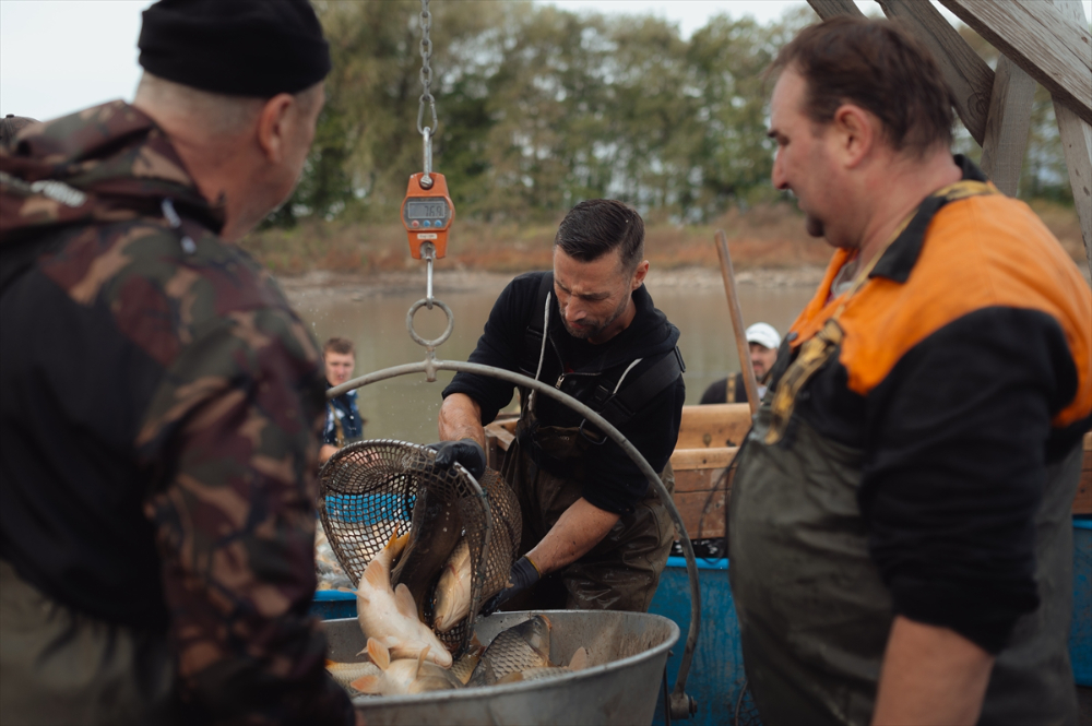 Slovakyalı balıkçıların geleneksel balık avı