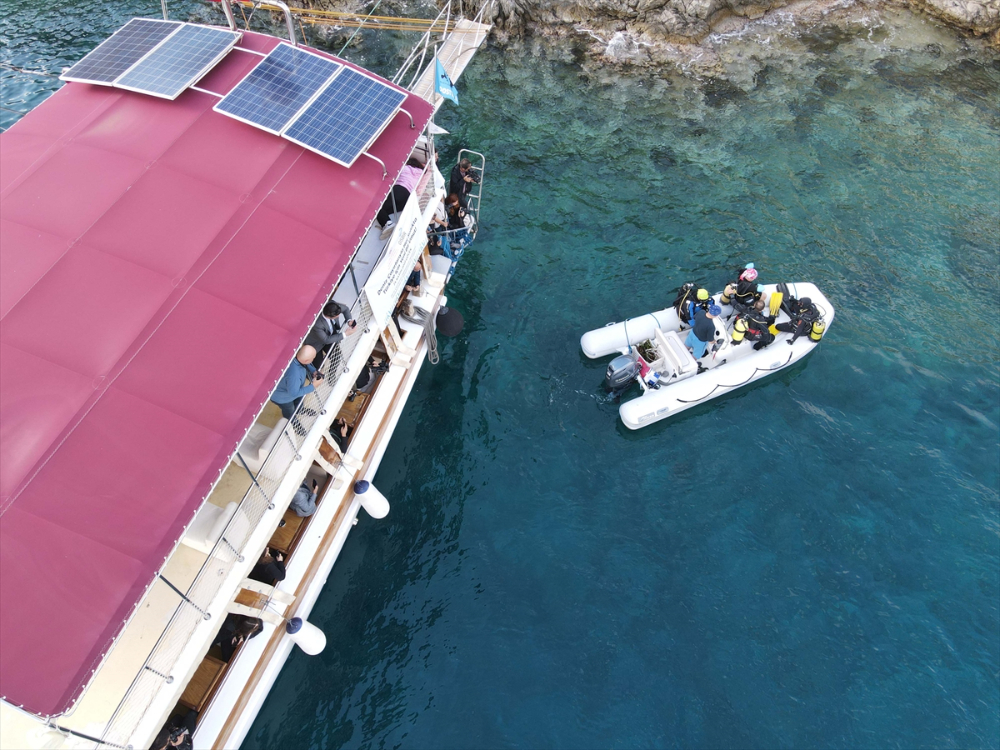 Göcek Körfezi'ne deniz çayırı ekimi yapıldı