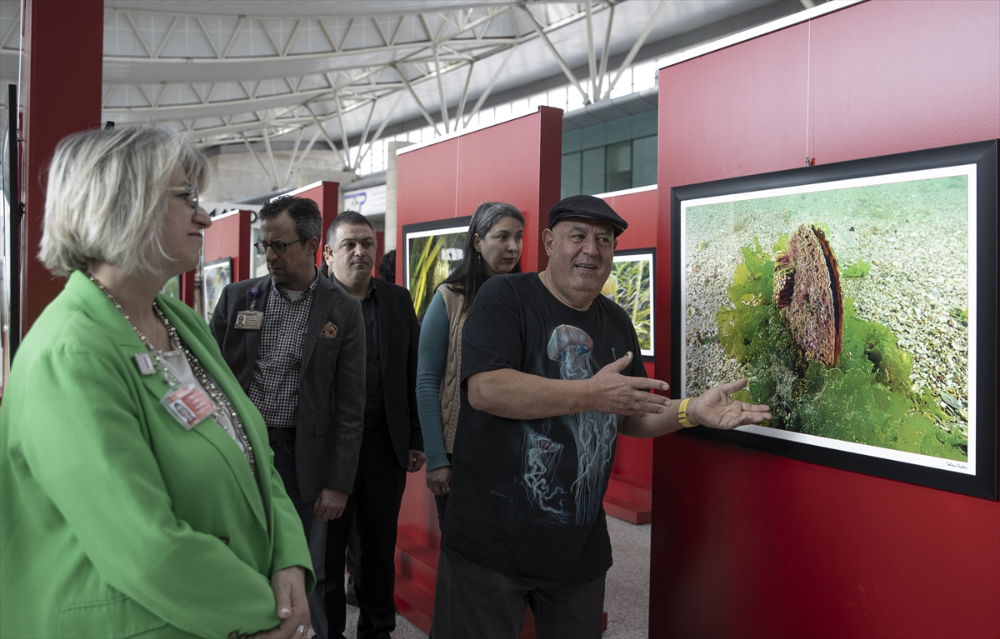 Başkentte "Hayalet Ağlar ve Marmara'ya hayat verenler" fotoğraf sergisi açıldı