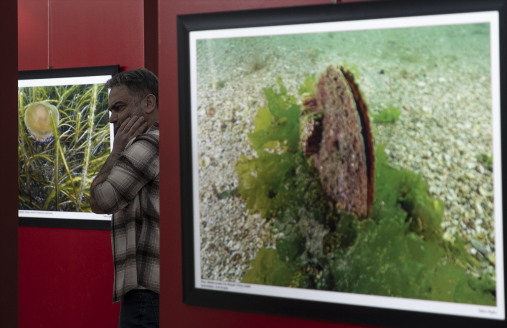 Başkentte "Hayalet Ağlar ve Marmara'ya hayat verenler" fotoğraf sergisi açıldı