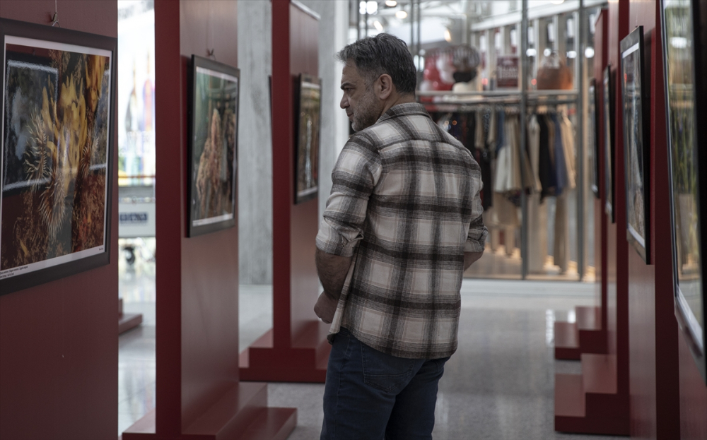 Başkentte "Hayalet Ağlar ve Marmara'ya hayat verenler" fotoğraf sergisi açıldı