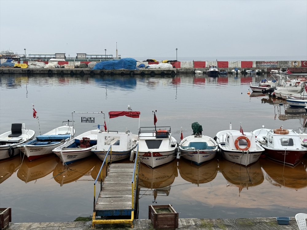 Tekirdağ balıkçı barınağında planktonlar denizin rengini turuncuya çevirdi