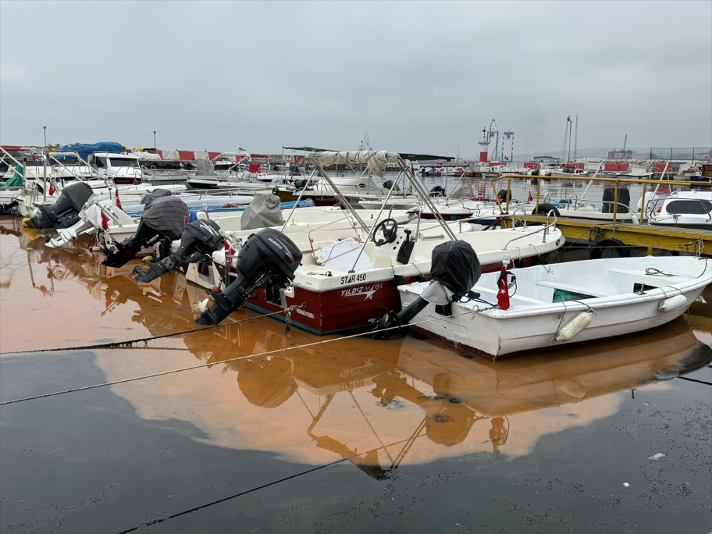 Tekirdağ balıkçı barınağında planktonlar denizin rengini turuncuya çevirdi