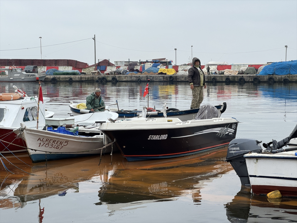 Tekirdağ balıkçı barınağında planktonlar denizin rengini turuncuya çevirdi