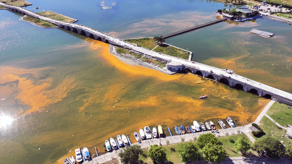 İstanbul'da sıcaklığın artışıyla denizdeki alg yoğunluğu dikkati çekti