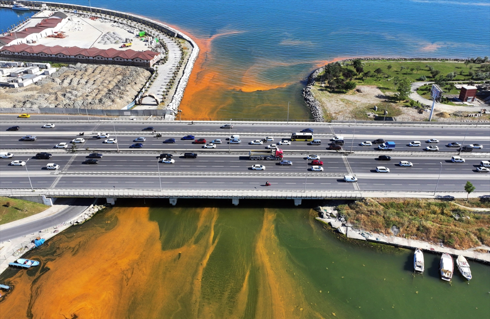 İstanbul'da sıcaklığın artışıyla denizdeki alg yoğunluğu dikkati çekti
