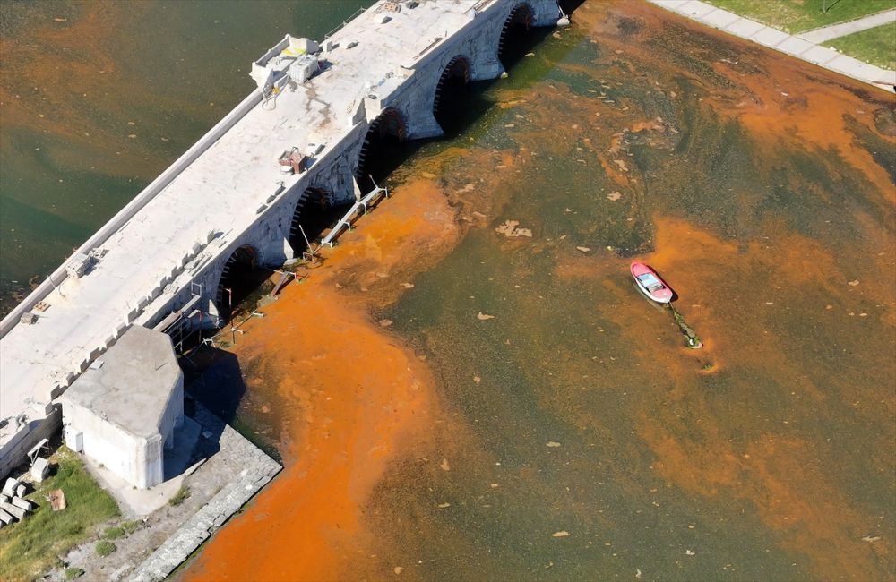 İstanbul'da sıcaklığın artışıyla denizdeki alg yoğunluğu dikkati çekti