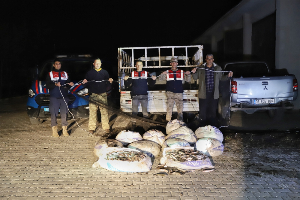 Van Gölü'nde yaşayan inci kefallerinin tatlı sulara göçü devam ediyor