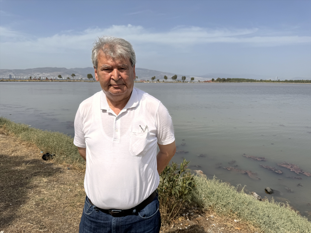 İzmir'de plankton patlaması denizin rengini değiştirdi
