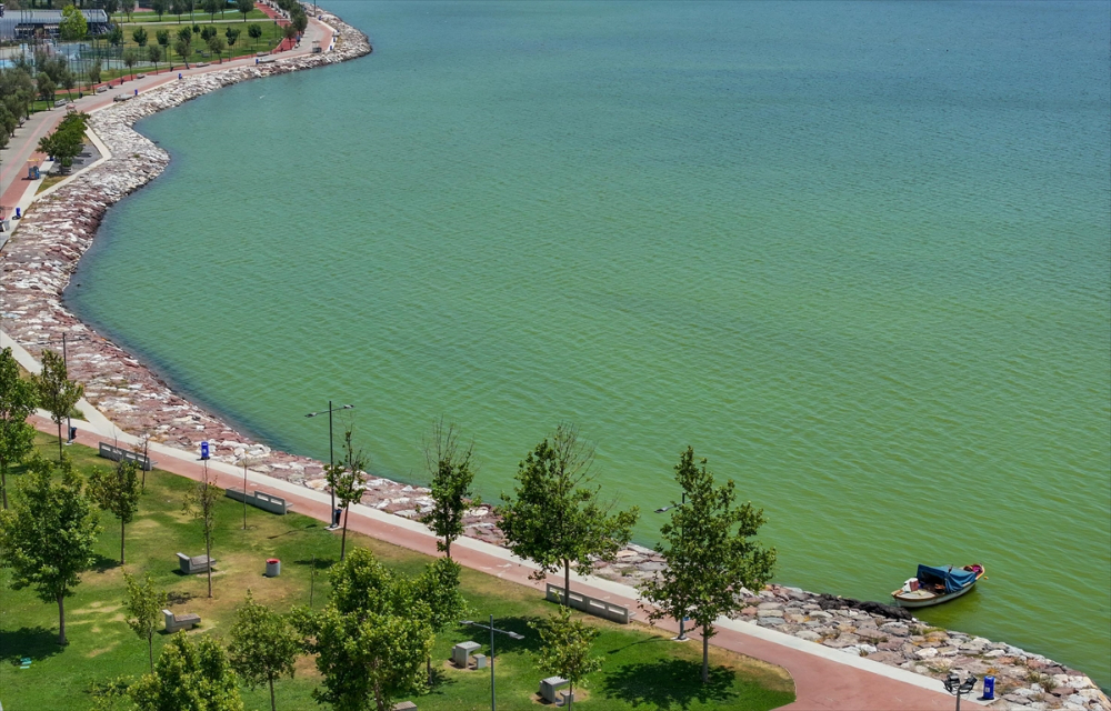 İzmir'de plankton patlaması denizin rengini değiştirdi