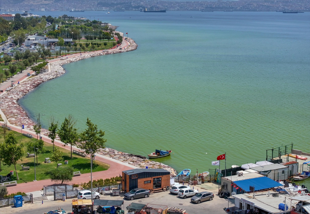 İzmir'de plankton patlaması denizin rengini değiştirdi