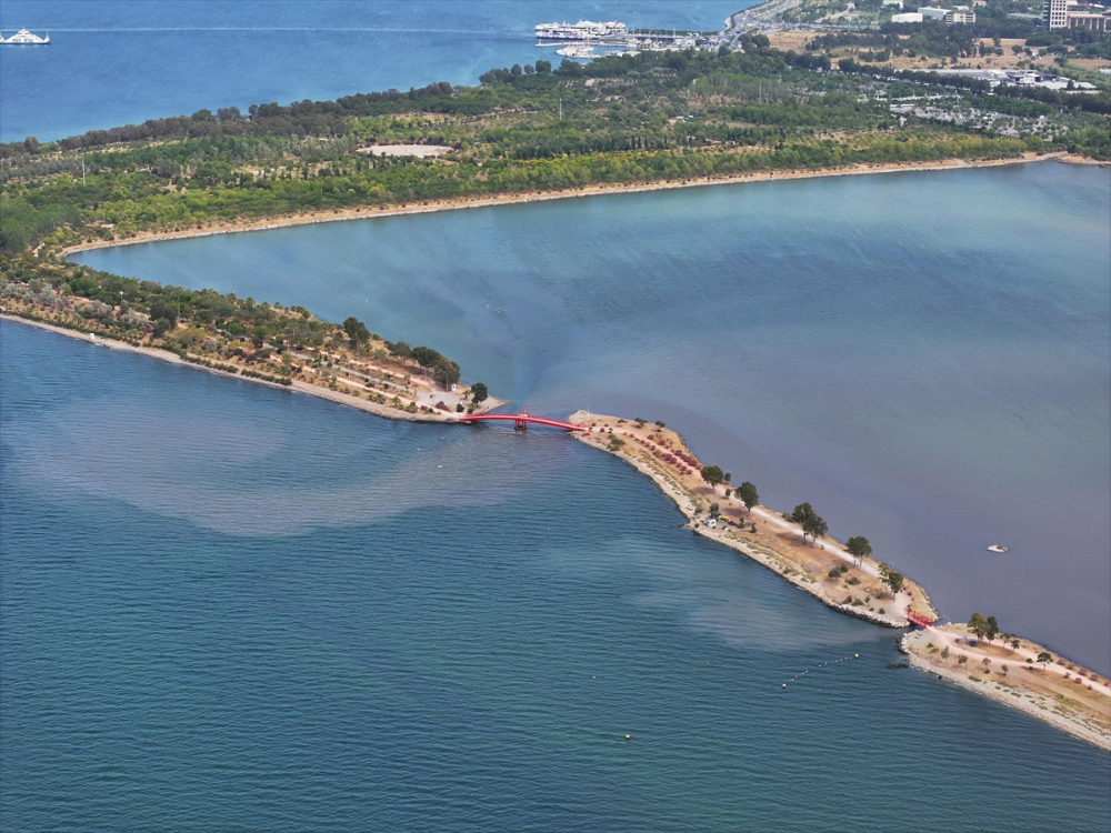 İzmir'de plankton patlaması denizin rengini değiştirdi