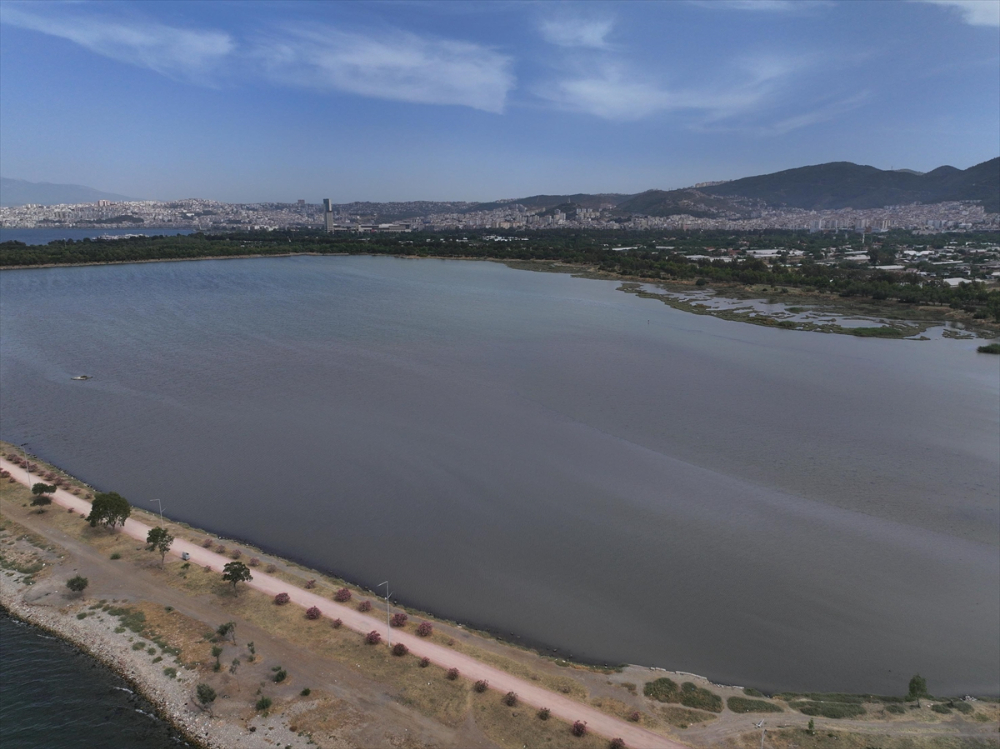İzmir'de plankton patlaması denizin rengini değiştirdi