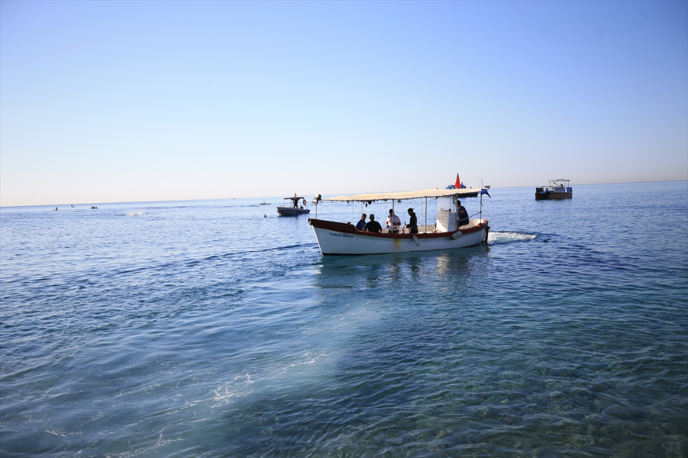Antalya'da "Aslan Balığı Avlama Yarışması" düzenlendi