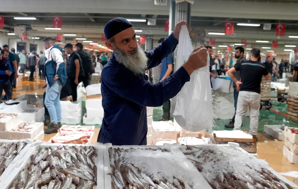 Av sezonunun açılmasıyla Gürpınar Balık Hali'nde palamut bolluğu yaşandı