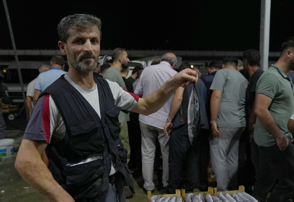 Av sezonunun açılmasıyla Gürpınar Balık Hali'nde palamut bolluğu yaşandı