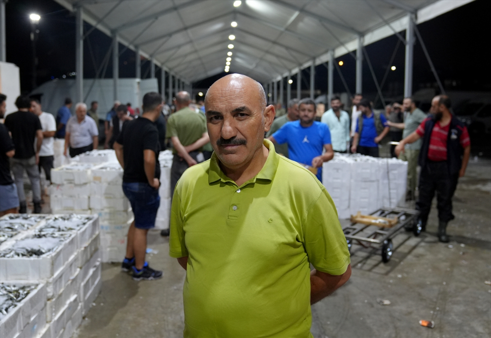 Av sezonunun açılmasıyla Gürpınar Balık Hali'nde palamut bolluğu yaşandı