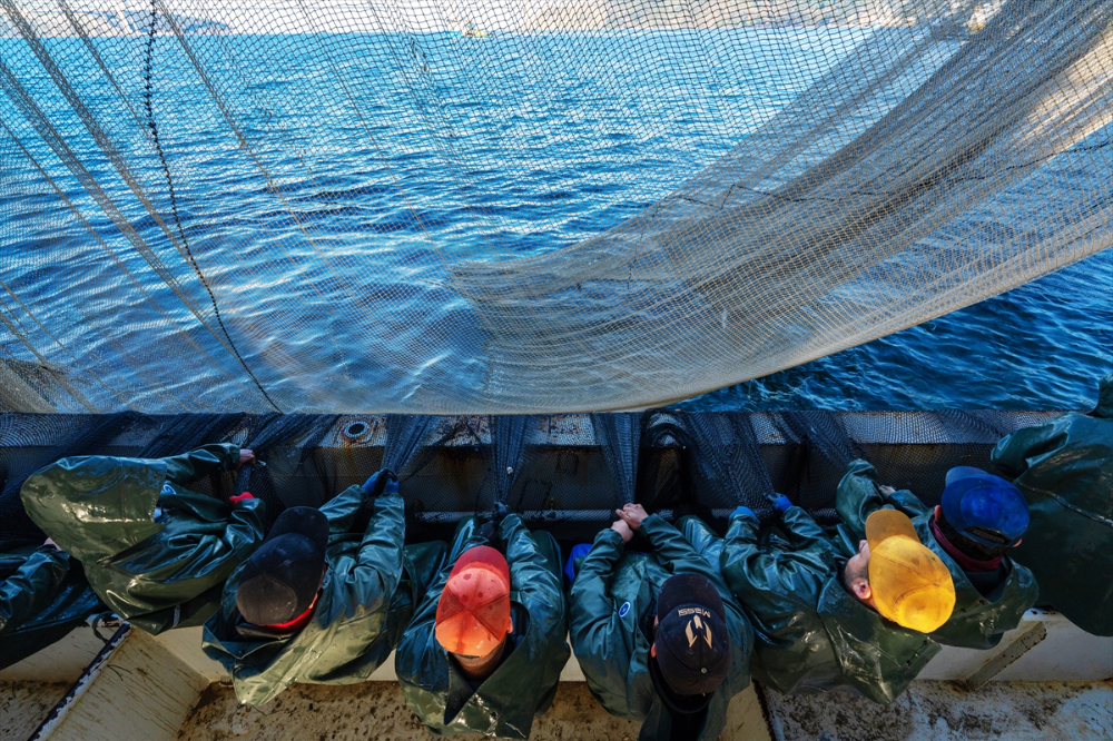Balıkçı teknelerinin "Boğaz" mesaisi