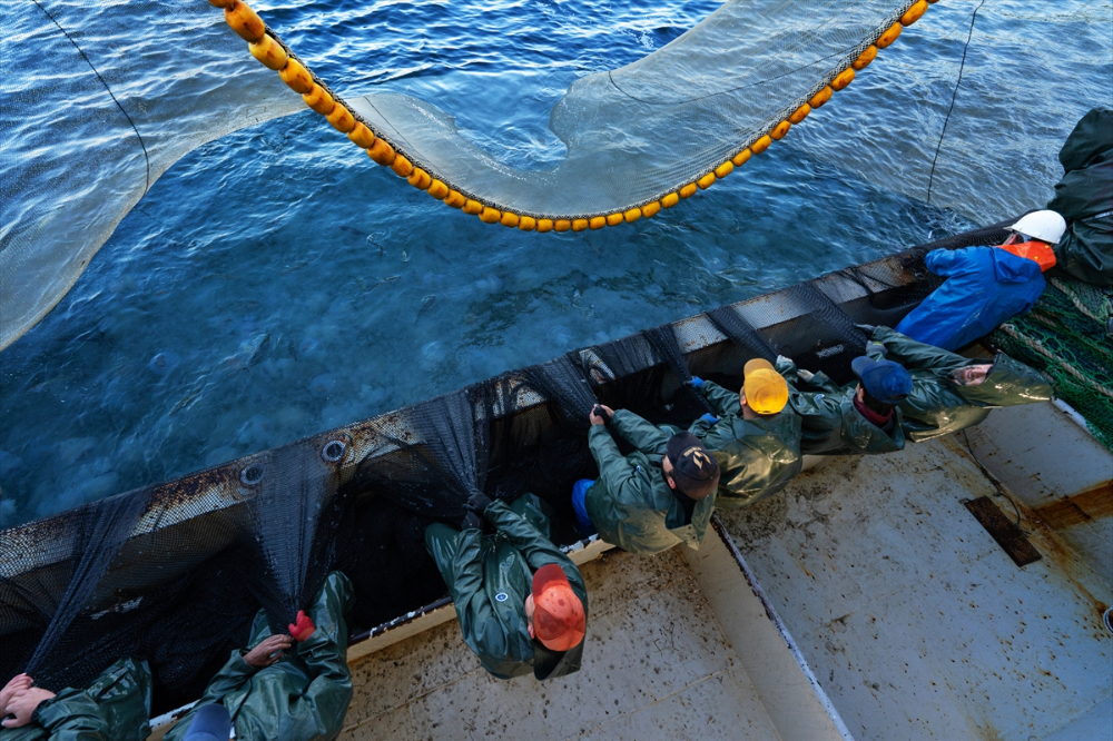 Balıkçı teknelerinin "Boğaz" mesaisi
